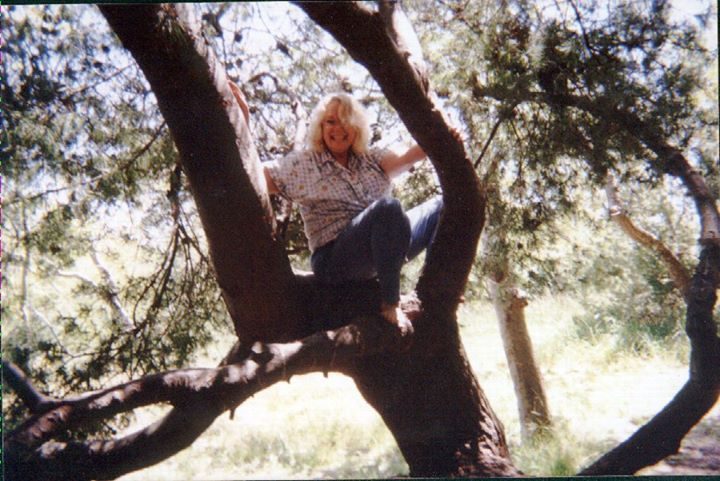 Road That Led Me Here